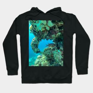 Coral reef and scuba diver Hoodie